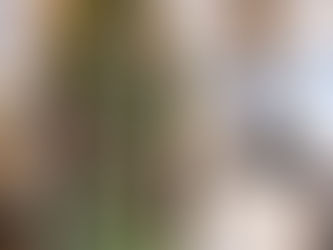 新都心「プリザーブドフラワークラス」レッスンを行いました♫クリスマスツリーフレームアレンジ