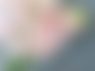 明日1/21は、「スイートピーの日」♫ 今が旬のスイートピー愉しみませんか?