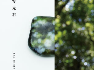 塩井一孝 個展「写光石」