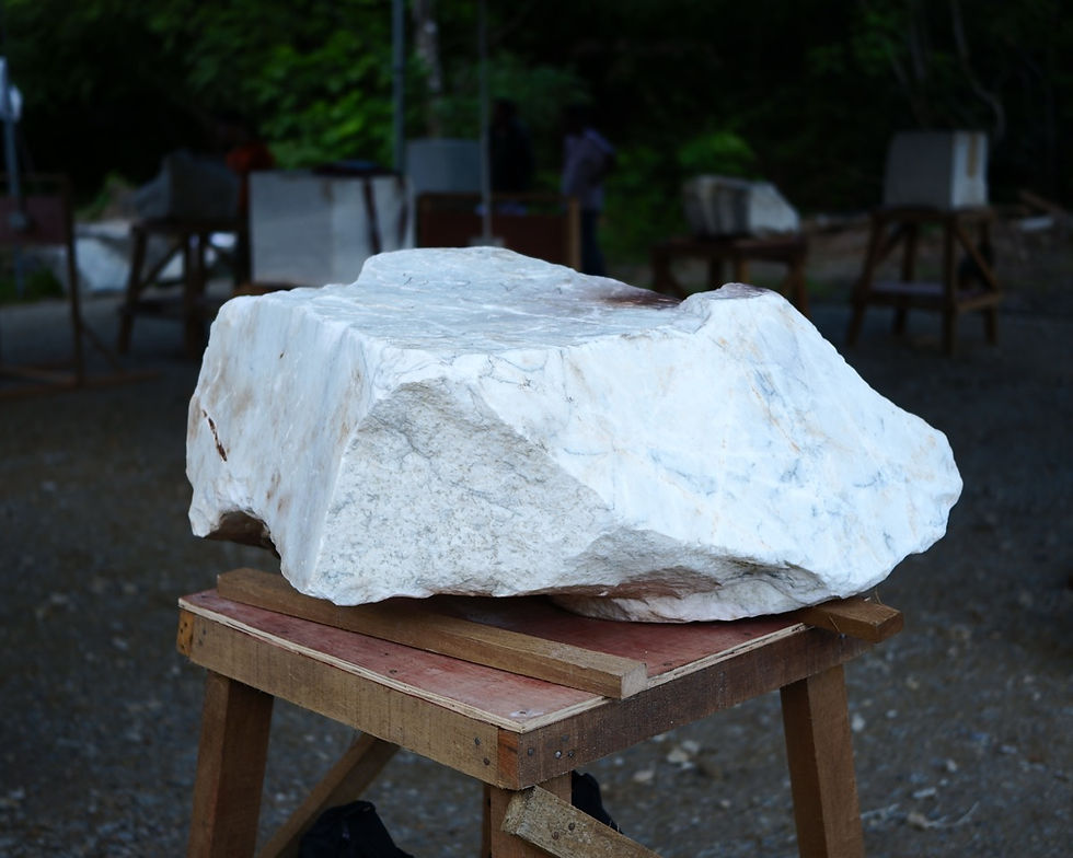 The marble I selected