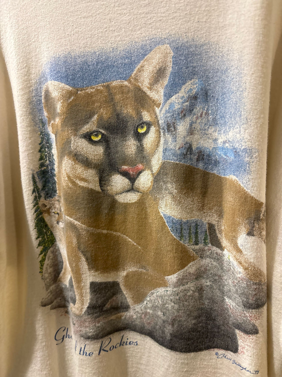 サムネイル： [L] Puma print T-shirts
