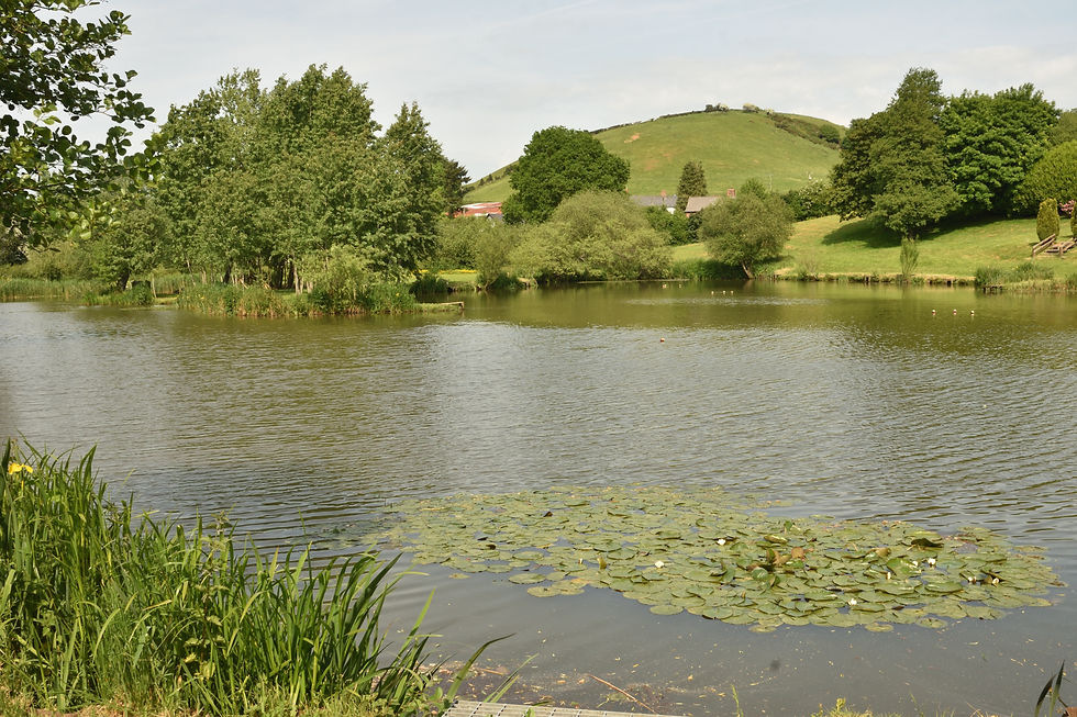 Lakeside_1_03