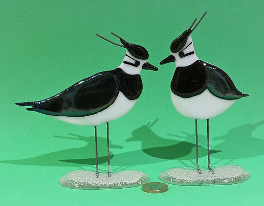 Lapwing | Sally Moore Glass &