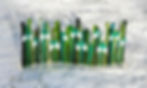 Thumbnail: Snowdrops