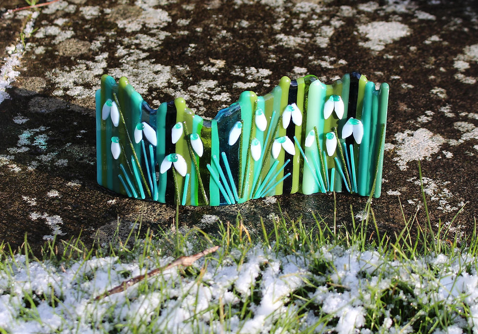 Thumbnail: Snowdrops