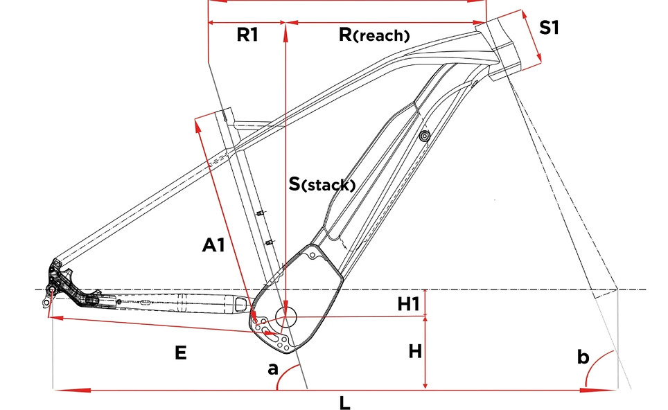 Fat Sport geometrie.jpg