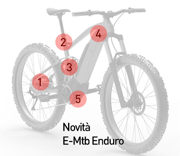 Fantic XTF 1.6 Carbon Factory: Ricci E-Bike | Italia