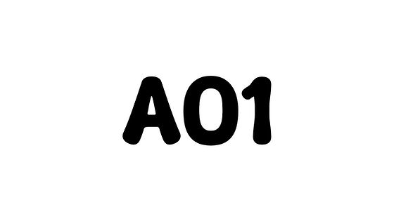 A01