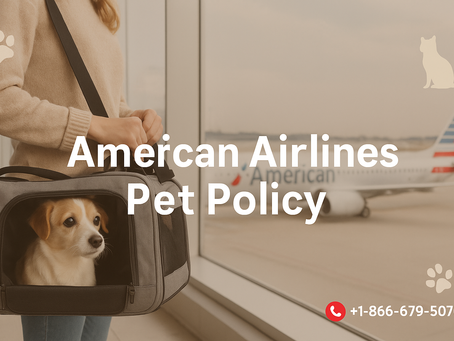 Smooth Travels for Pets – American Airlines Pet Policy Details