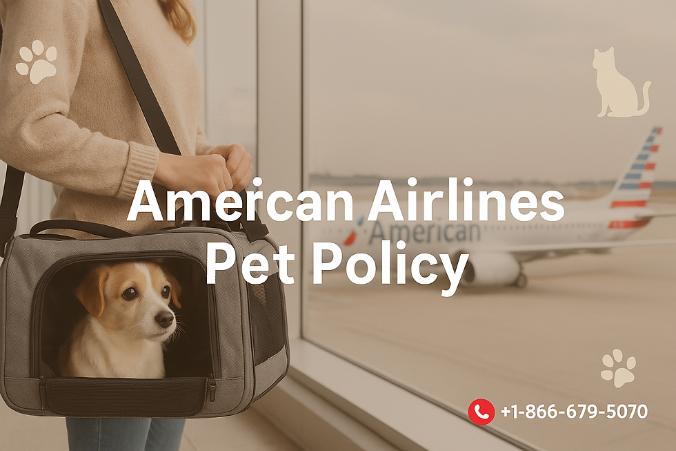 Woman holding a pet carrier with a small dog inside at an airport. "American Airlines Pet Policy" text overlay with contact number.