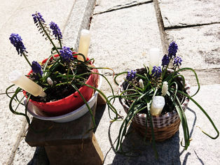 冬の園芸療法2019年度 ㉕