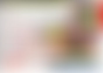 第48回 豊田おいでんまつり協賛