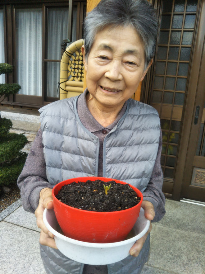 冬の園芸療法2019年度 元気に育つように⑥