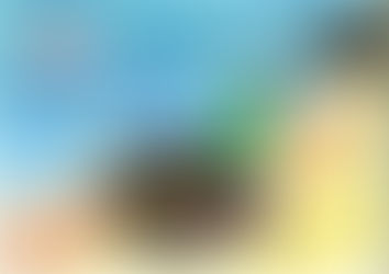 ２０１４塗り絵大会入賞作品