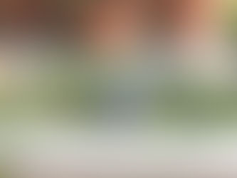 冬の園芸療法2019年度 ⑳