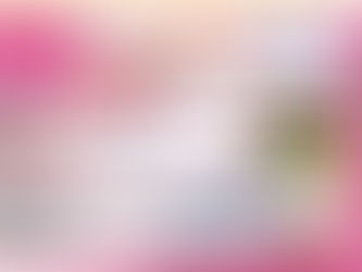 題51回豊田おいでんまつりに今年も協賛しました