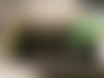 園芸療法2018年度⑮