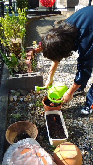冬の園芸療法2018年度 元気に育つように⑦