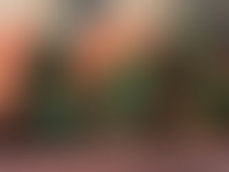 園芸療法2018年度⑱