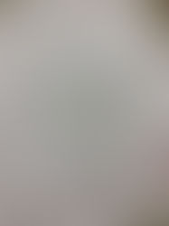 第15回フットケア学会セミナーに参加してきました