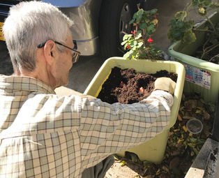 冬の園芸療法2018年度 元気に育つように