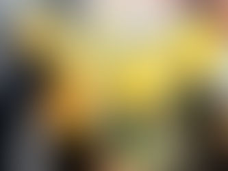 冬の園芸療法2020年度クロッカス編 ⑰