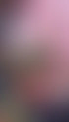 冬の園芸療法2019年度 ⑰