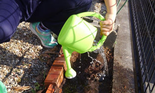 冬の園芸療法2019年度　元気に育つように⑩