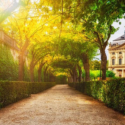 Le Charme de l'Âge Médiéval : Découvrez un coin du Jura qui évoque l'ère médiévale, avec des jardins clos, des plantes médicinales et des statues qui vous transportent dans le temps.