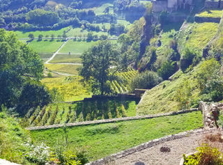 Maisons vigneronnes à Château-Chalon, vignoble doré et ruelles traditionnelles sous la lumière du Jura.