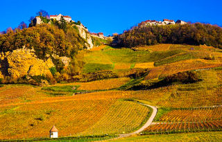 Exploration des grottes de Baume-les-Messieurs et visite de Château-Chalon avec repas terroir dans le Jura