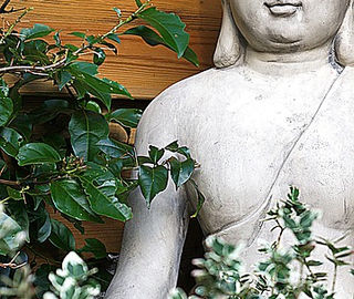 Jardin zen intimiste avec pierres et végétation dans le Jura