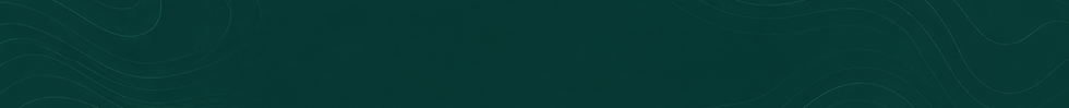 Bannière verte profonde aux lignes fluides.png