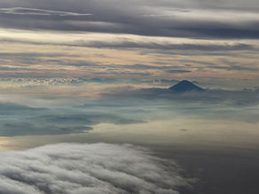 今月のコラム（2026年1月）