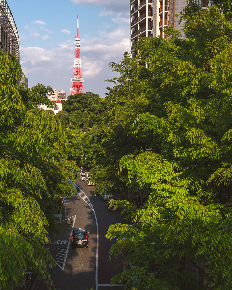 TokyoTowerRoad.jpg