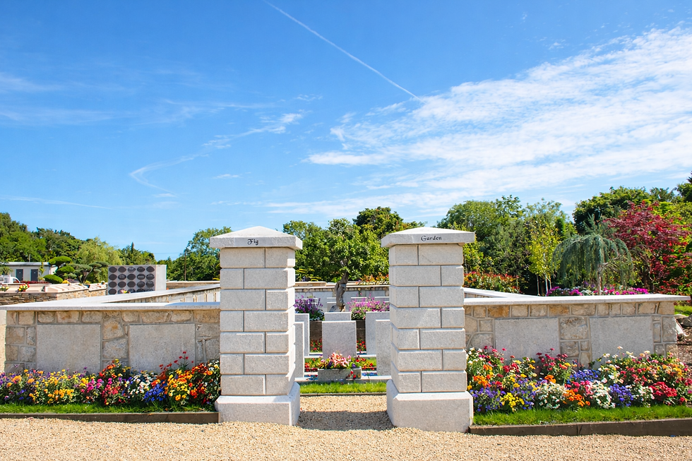 ChatGPT Image Feb 9, 2026 at 09_59_31 AM.png