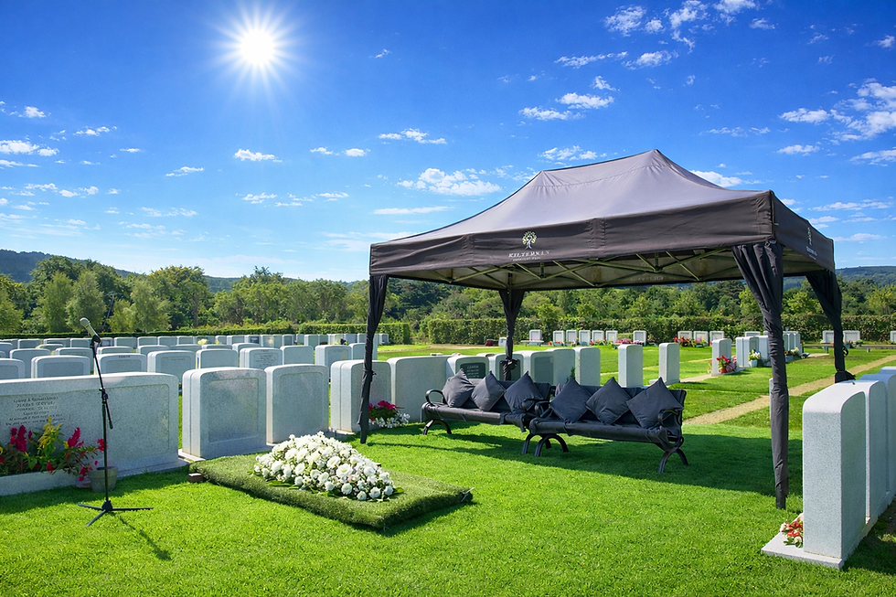 ChatGPT Image Feb 13, 2026 at 12_36_11 PM.png