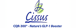 CQR-300 logo.png