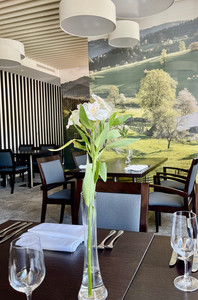 Hotel Laterna, Walachei, Ostmähren, Tschechien, Visit Czechia, Social Media Boutique, Sonja Parapatits, Roman Hrdina,  Tschechische Zentrale für Tourismus