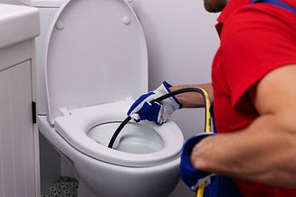 clogged toilet service.jpg