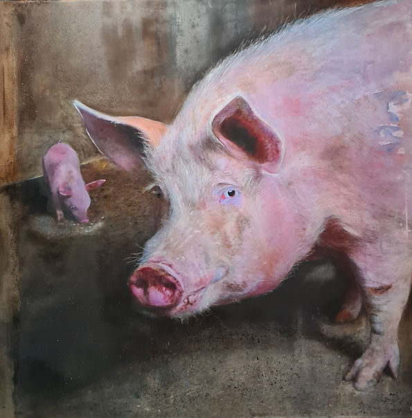 Some animals are more equal than others | Oil