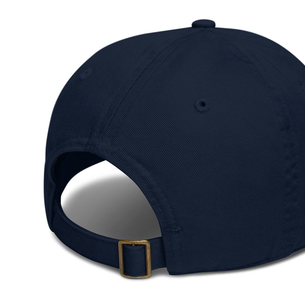 Thumbnail: Rocky Rights Dad Hat