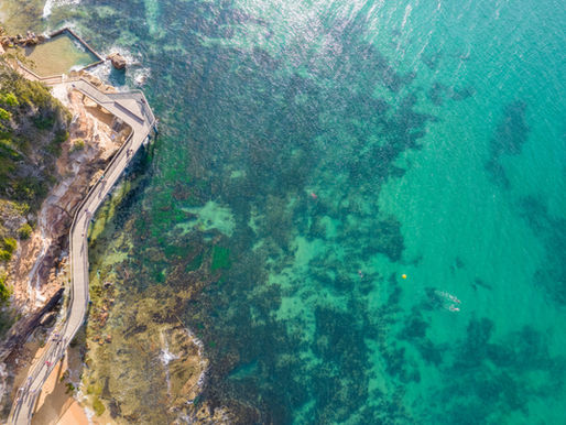 Terrigal Boardwalk- A must-see attraction.