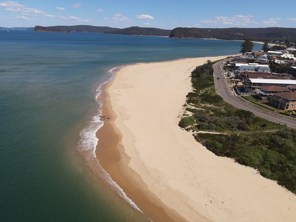 can you walk your dog at ettalong Beach