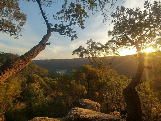 Suburb Areas of Central Coast NSW