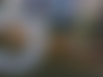 Aerial Drone Property Photos - Aerial Images Of Your House