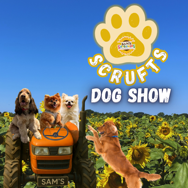 SCRUFTS DOG SHOW SUNDAY