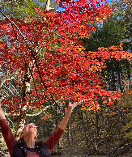 Marcella Kraybill-Greggo Leaf Praise.jpeg