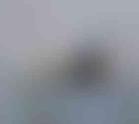 Tamsin Hyde Abstract Artwork