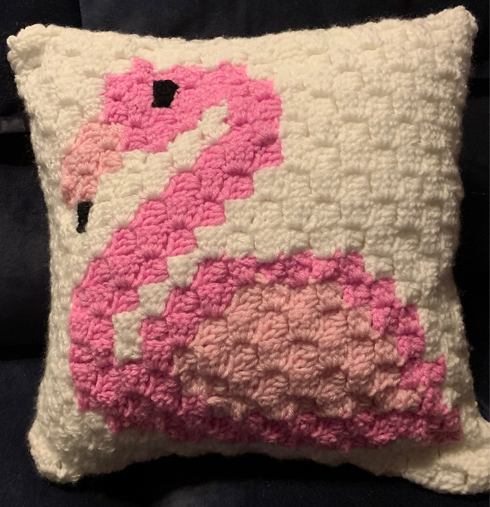 Thumbnail: Custom C2C Pillow